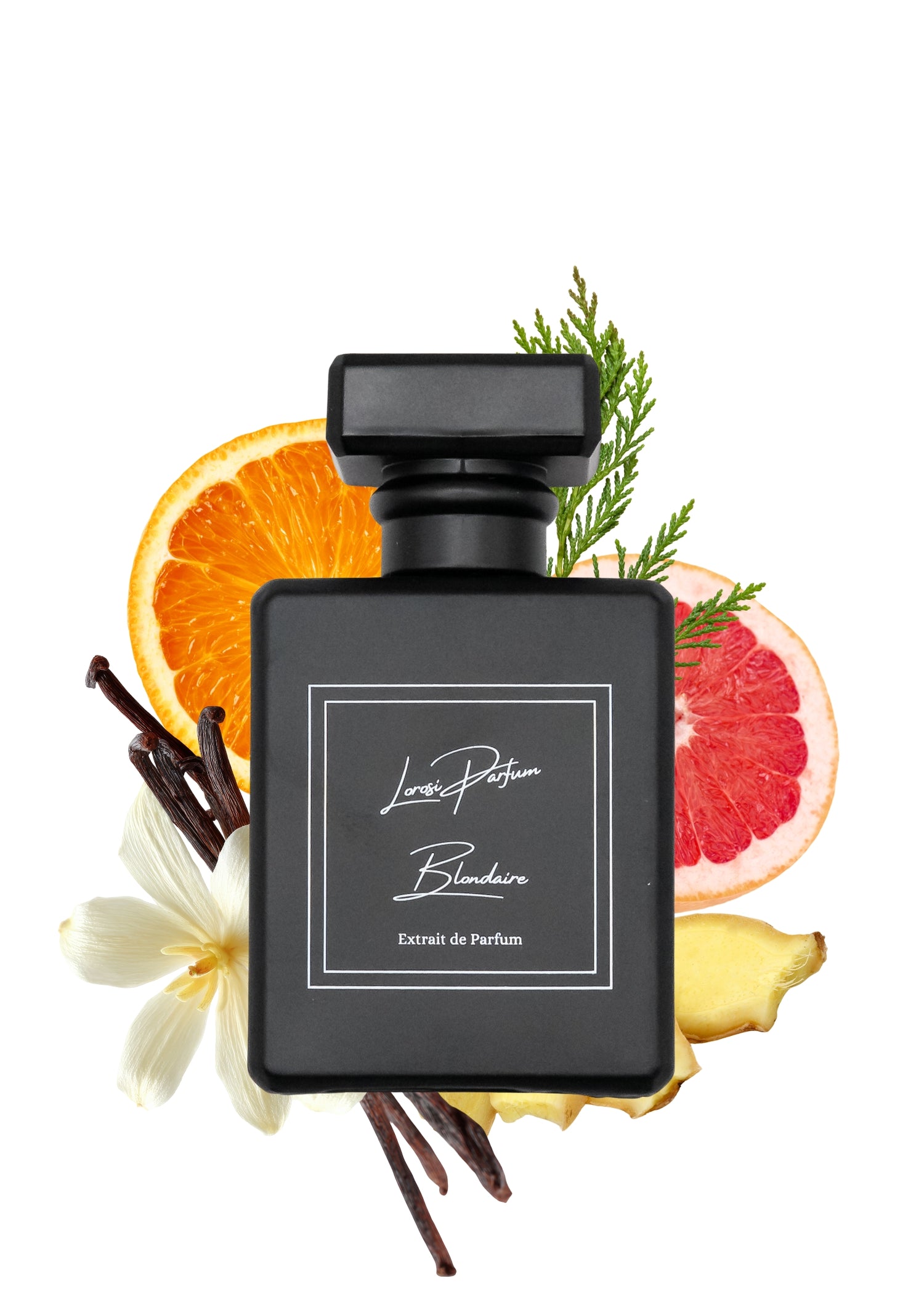 Hier bekommen Sie den Blondaire mit den folgenden Inhaltsstoffen: Grapefruit, Vanille, Ingwer, Zypresse und Bitterorange.